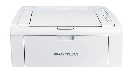 Pantum P2509W