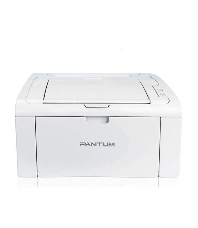 Pantum P2509W
